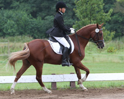 Sehr erfolgreich in Wittenbeck war Jolanda Becker mit Pony Diskaro, die Junioren-Kreismeisterin wurde. Sehr erfolgreich in Wittenbeck war Jolanda Becker mit Pony Diskaro, die Junioren-Kreismeisterin wurde.